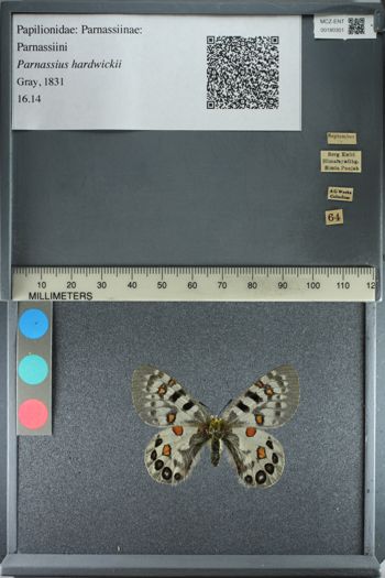 Media type: image;   Entomology 180301